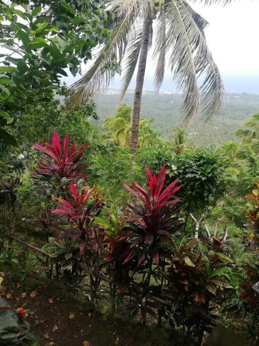 The Balcony Of The Camiguin Island Apartment Mambajao Exterior photo